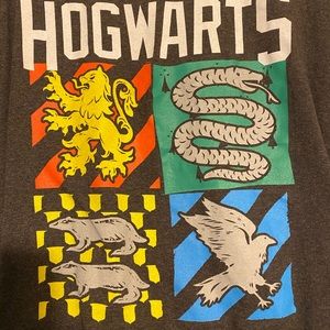 Official Harry Potter Faction Shirt
